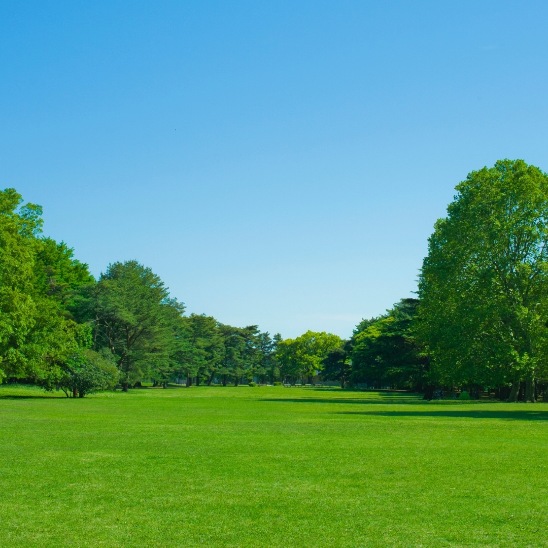 Kavaklıdere Peyzaj, Kavaklıdere Peyzaj Firmaları, Peyzaj Kavaklıdere, Peyzaj Firmaları Kavaklıdere, Kavaklıdere Peyzajcı