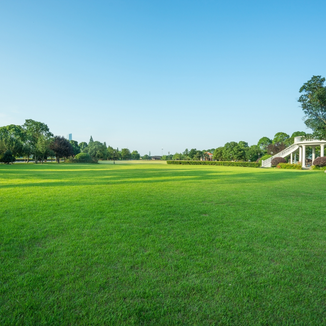 Marmaris Peyzaj, Marmaris Peyzaj Firmaları, Peyzaj Marmaris, Peyzaj Firmaları Marmaris, Marmaris Peyzajcı